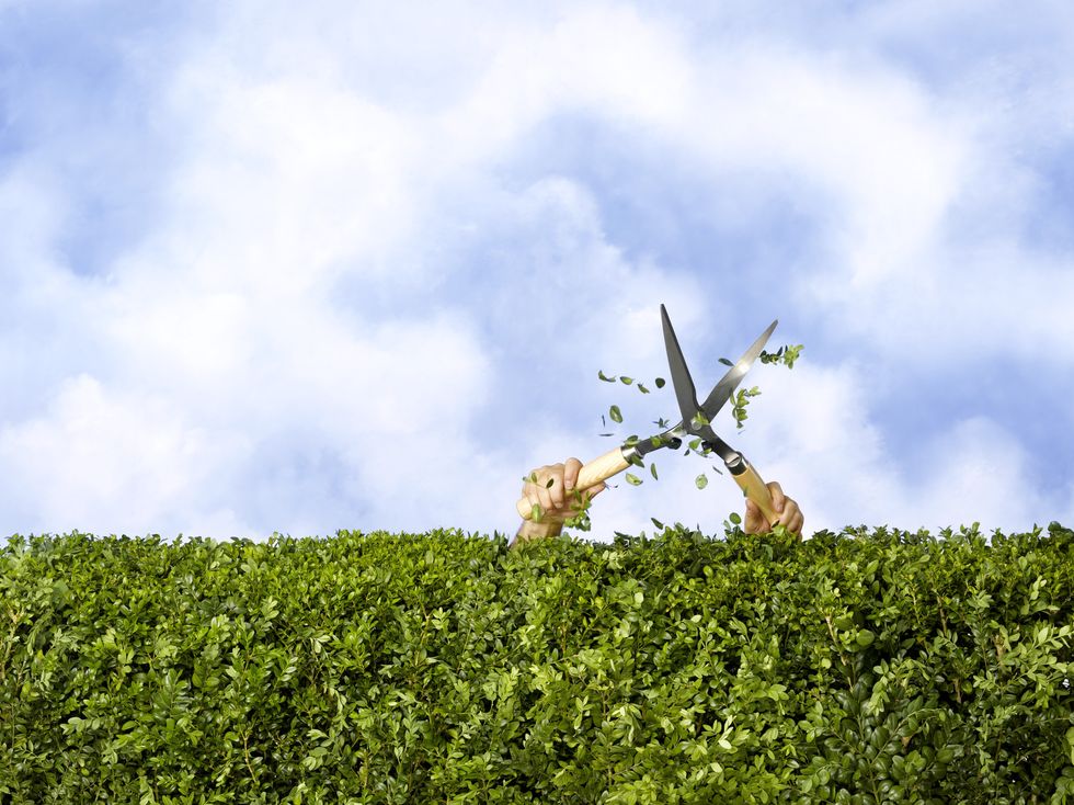 The dispute took place after a row about cutting a hedge