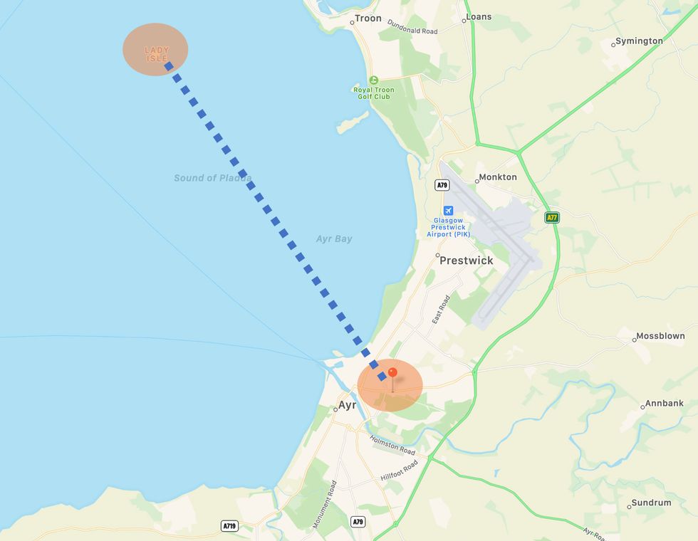 The distance one seagull flies for its fish and chips - from Lady Isle to Ayr Racecourse