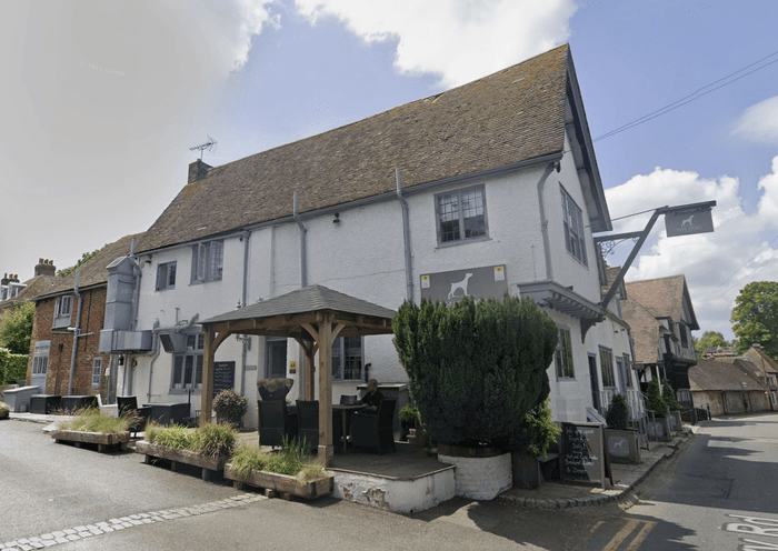 The Dog in Wingham