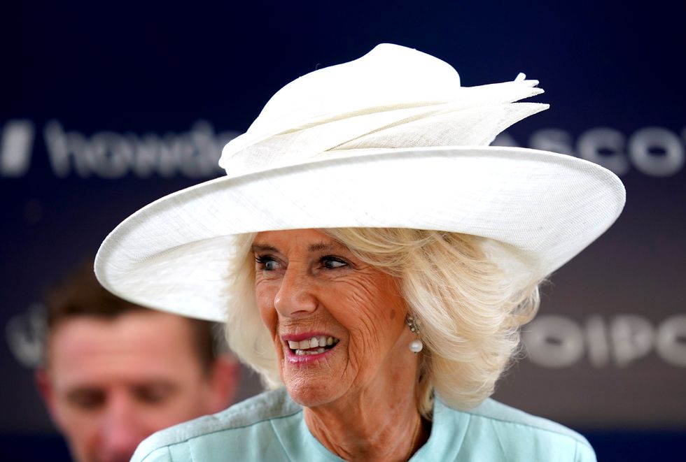 The Duchess of Cornwall could be negatively portrayed in Harry's memoir