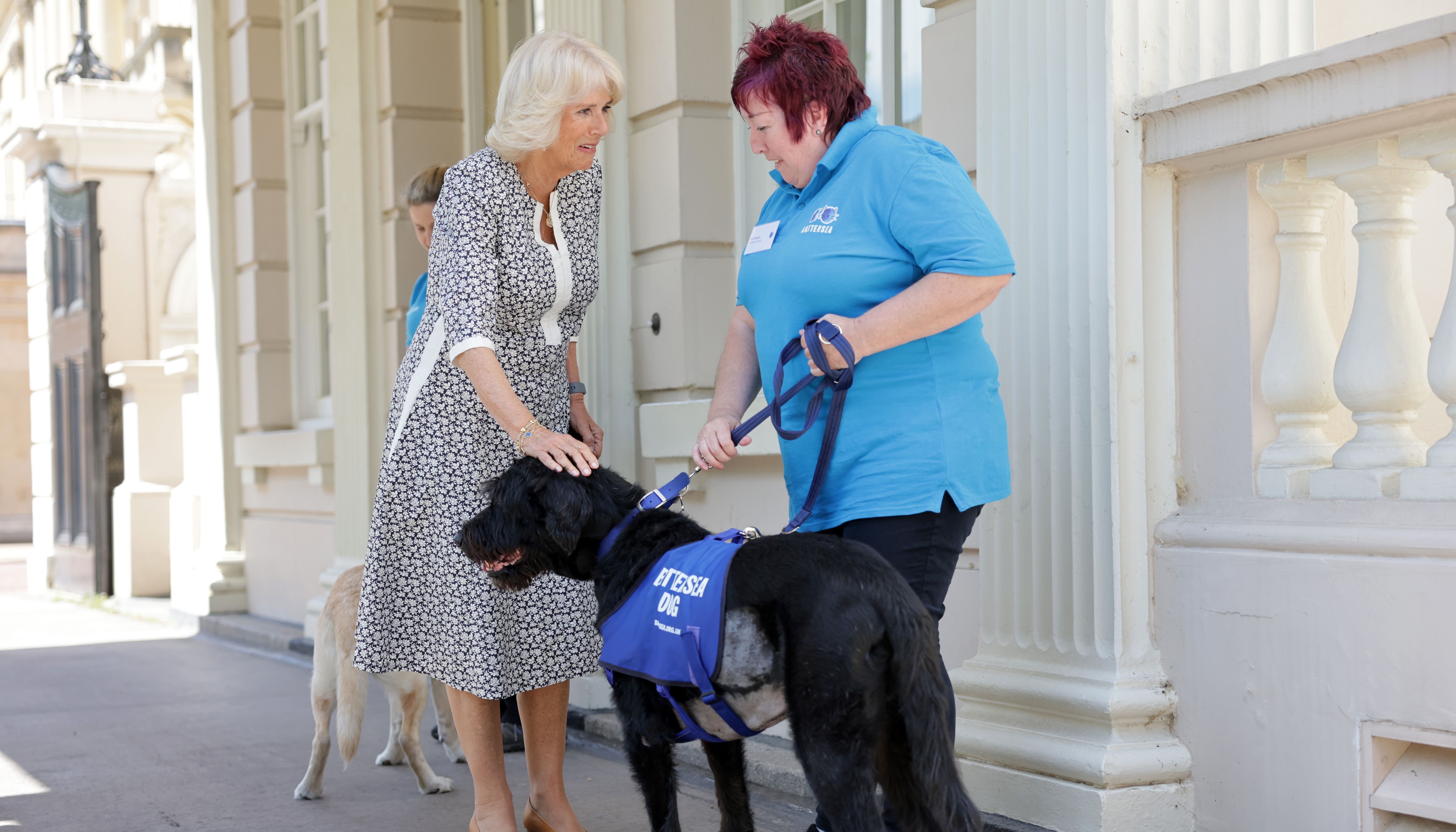 The Duchess of Cornwall speaks to volunteers as she hosts a reception at Clarence House, London, to mark the Battersea Dogs and Cats Home's 160th anniversary. Picture date: Thursday July 14, 2022.