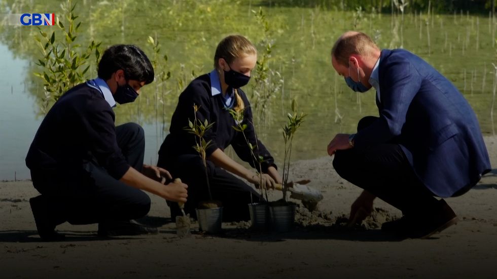 The Duke of Cambridge has planted mangrove saplings in the United Arab Emirates (UAE) with a group of children.