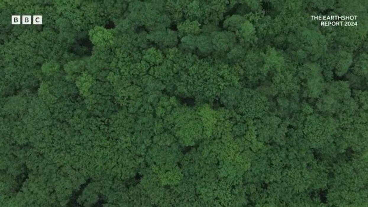 William supported by Hollywood actress just a day after Kate's sudden withdrawal from joint appearance