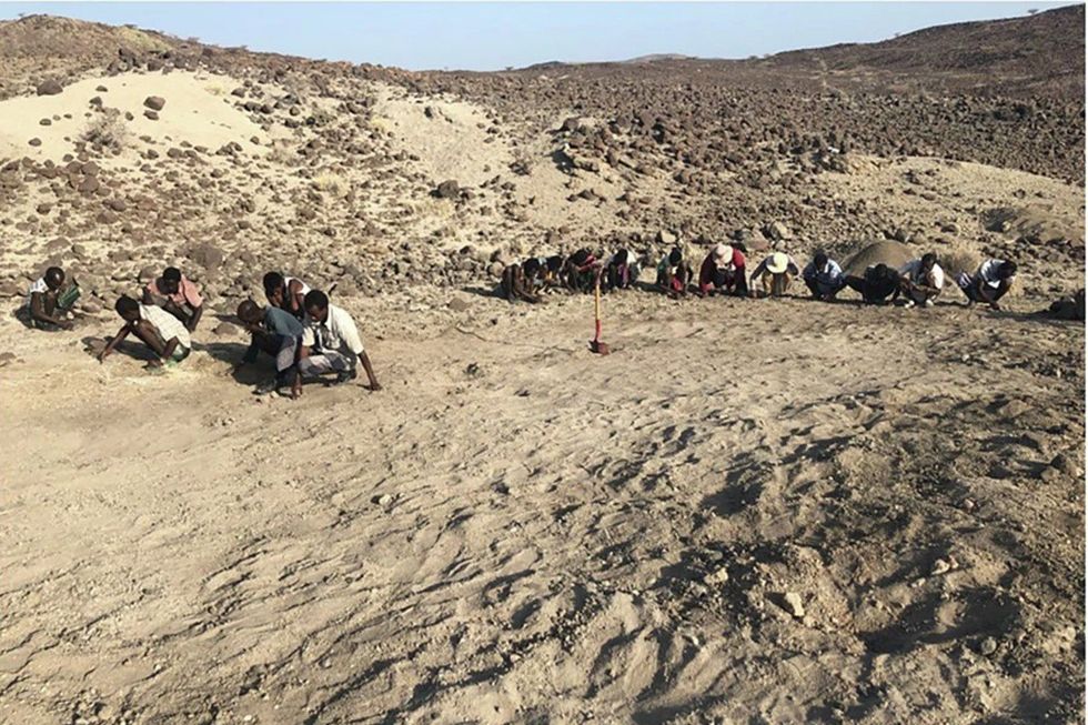 The excavation site in Ethiopia's Afar region