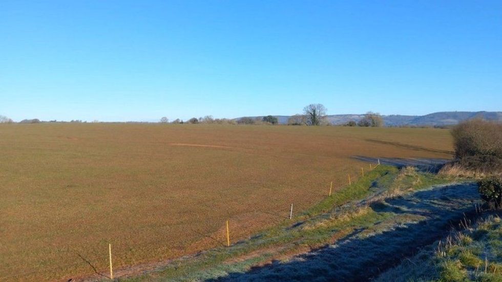 The farm land