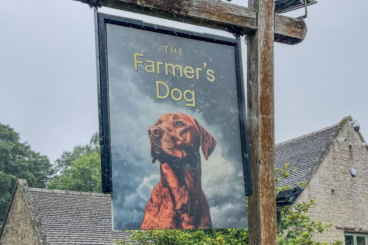 The Farmers Dog