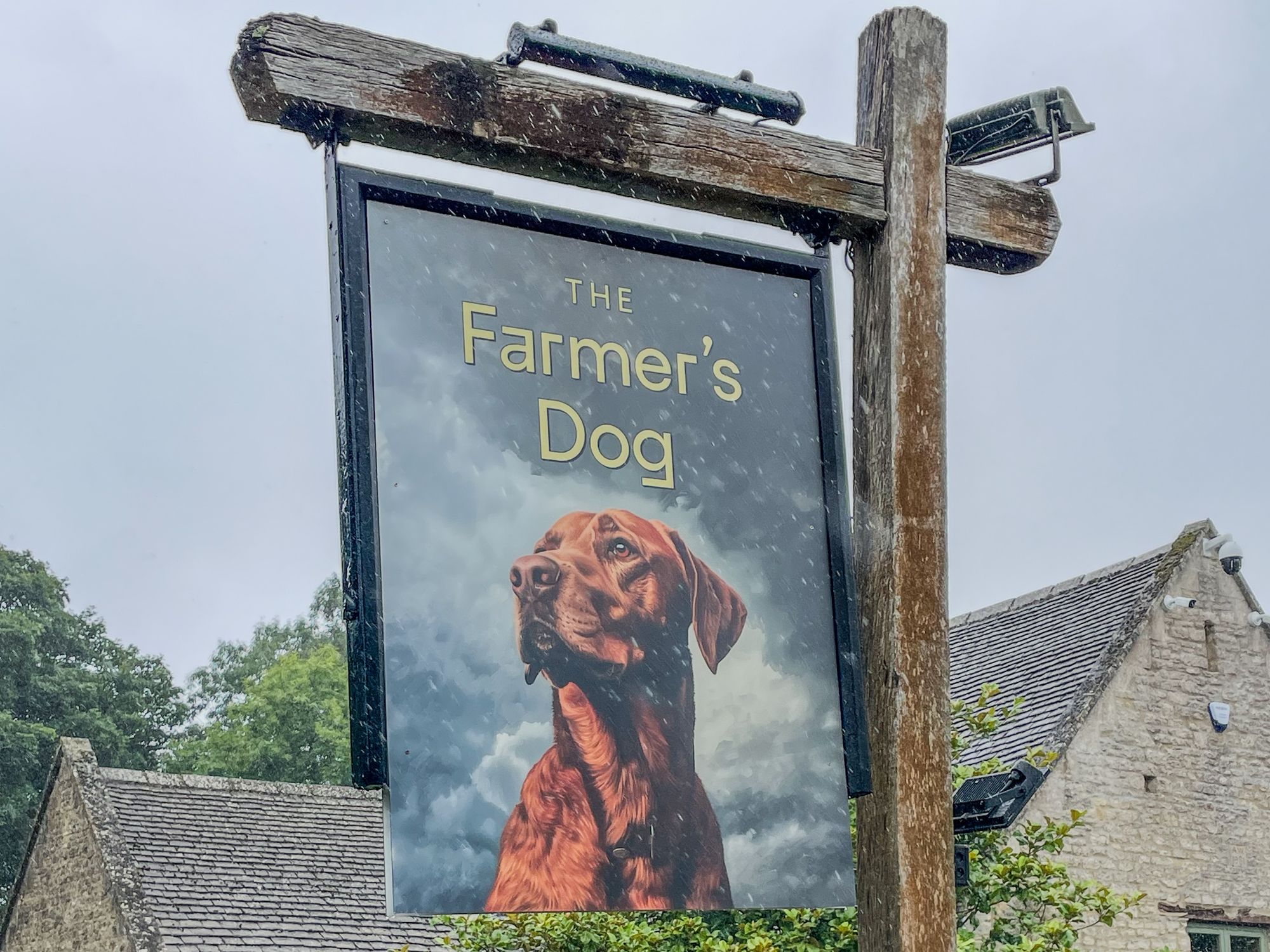 The Farmers Dog
