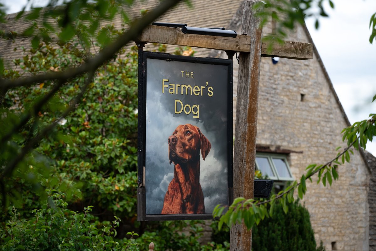 The Farmers Dog
