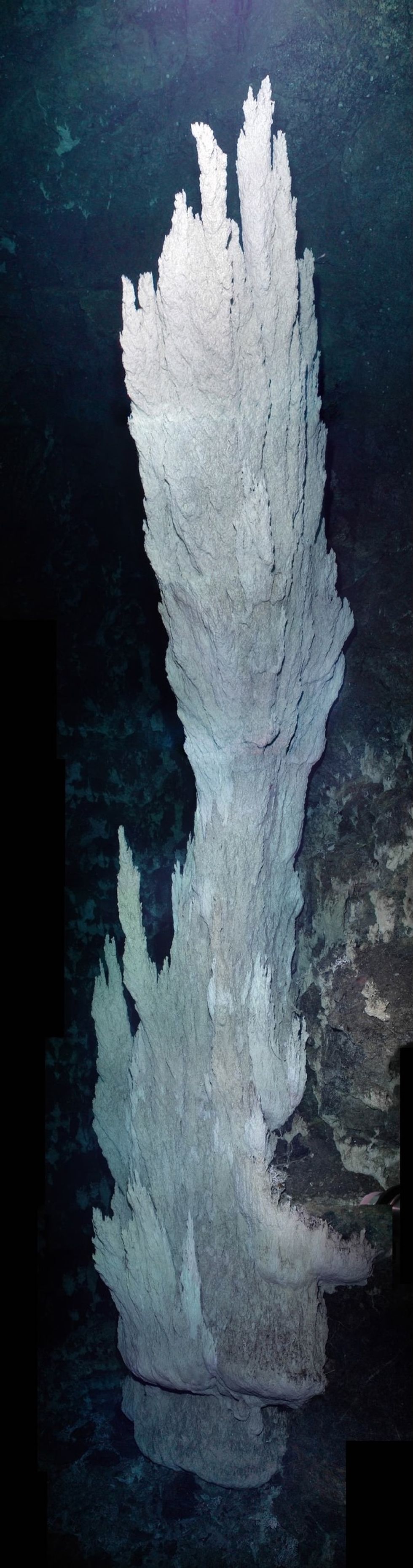 The field consists of colossal carbonate rock formations