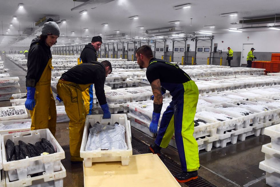 The fishing industry