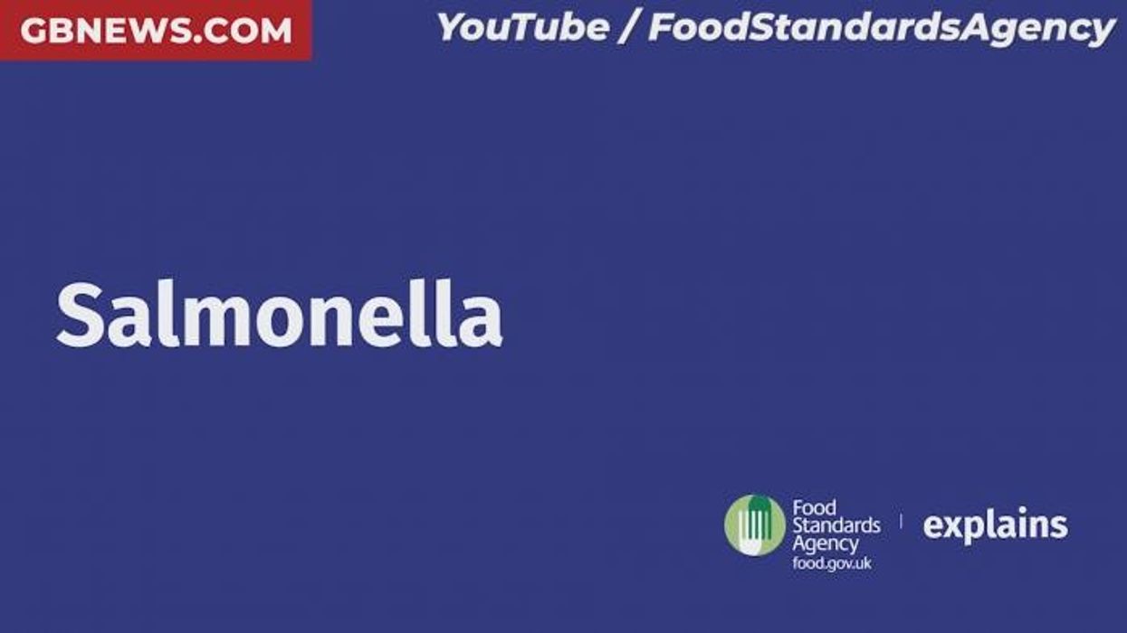 Urgent health warning issued as 29 Britons struck down in Salmonella outbreak