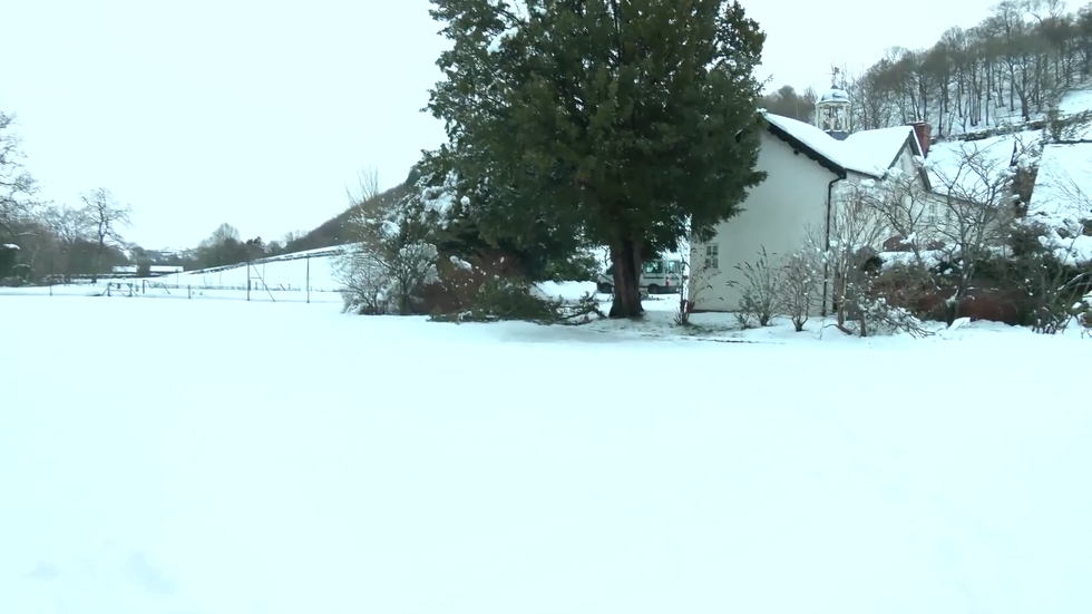 The Forest Bed and Breakfast