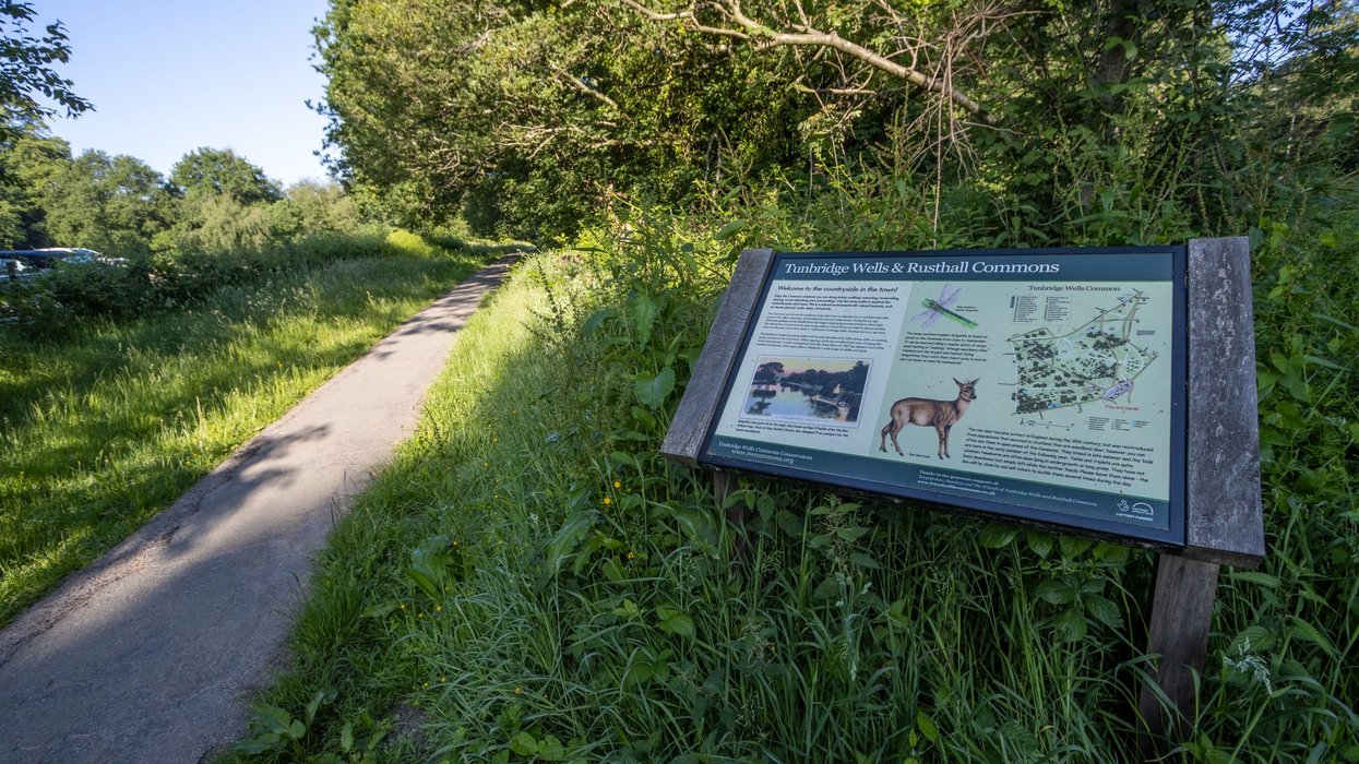 Furious neighbours launch last-ditch bid to block massive block of flats on village green