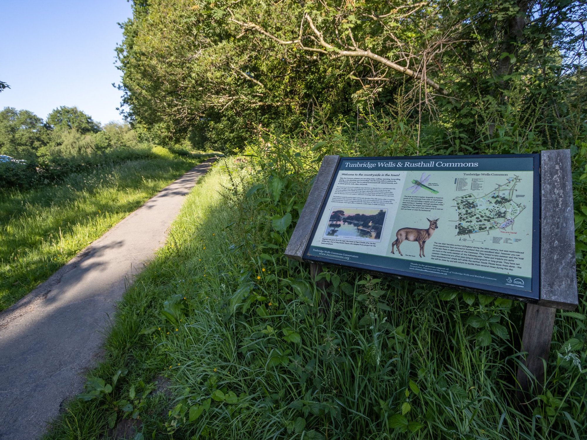Furious neighbours launch last-ditch bid to block massive block of flats on village green