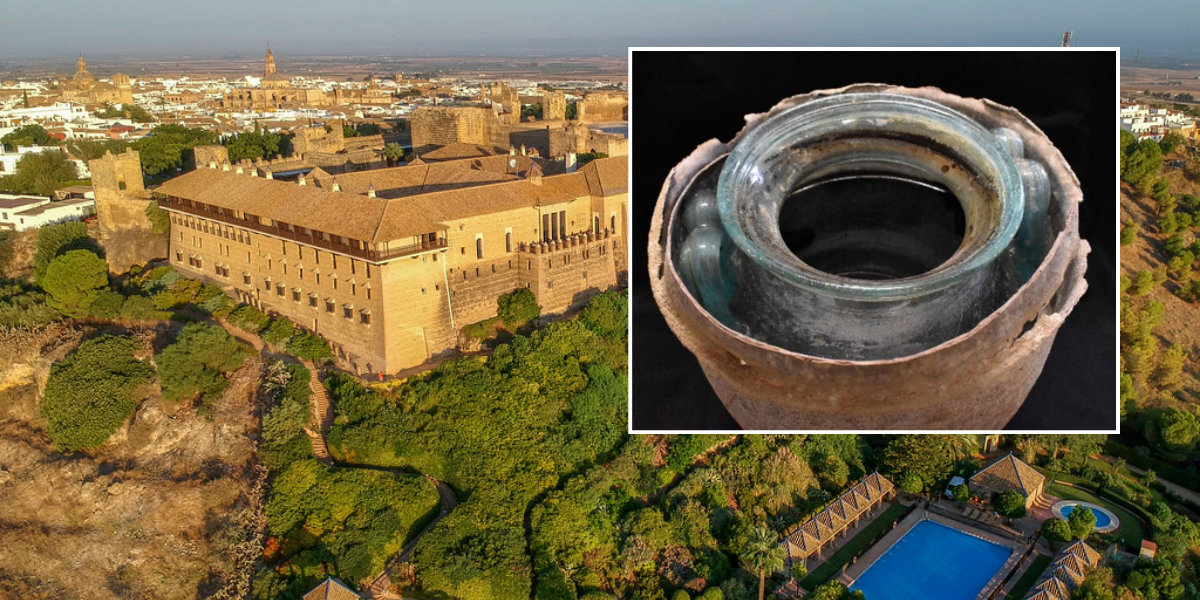 NextImg:Archaeologists left stunned after making discovery within 'world's oldest bottle of wine'