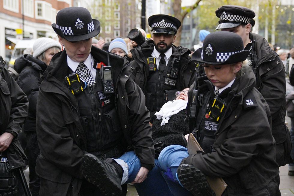 The Greens have been looking to change the law on protests