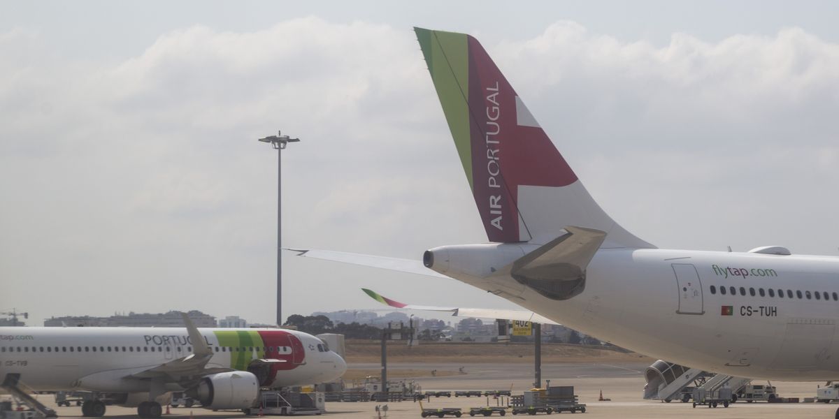 NextImg:Plane grounded for FOUR DAYS after 132 hamsters escape and run loose