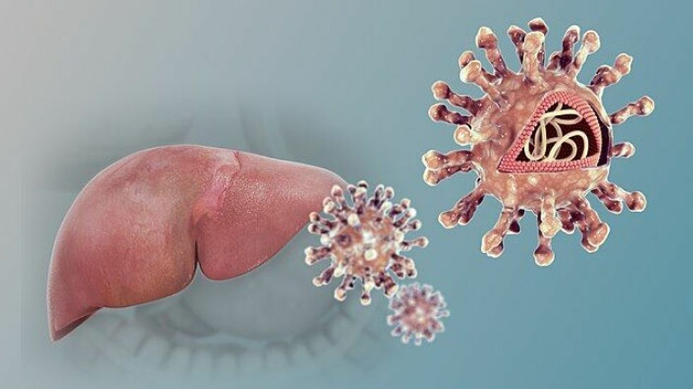 The hepatitis C virus