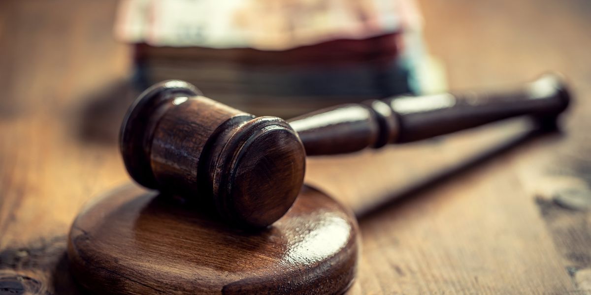 NextImg:Neighbour row over wooden bin storage unit sparks £150,000 legal battle