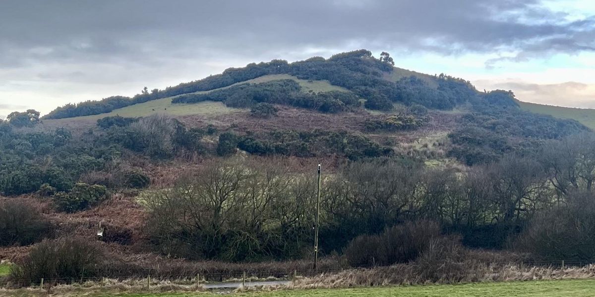 Grave belonging to lost Viking king may have been found on English coast Grave belonging to lost Viking king may have been found on English coast