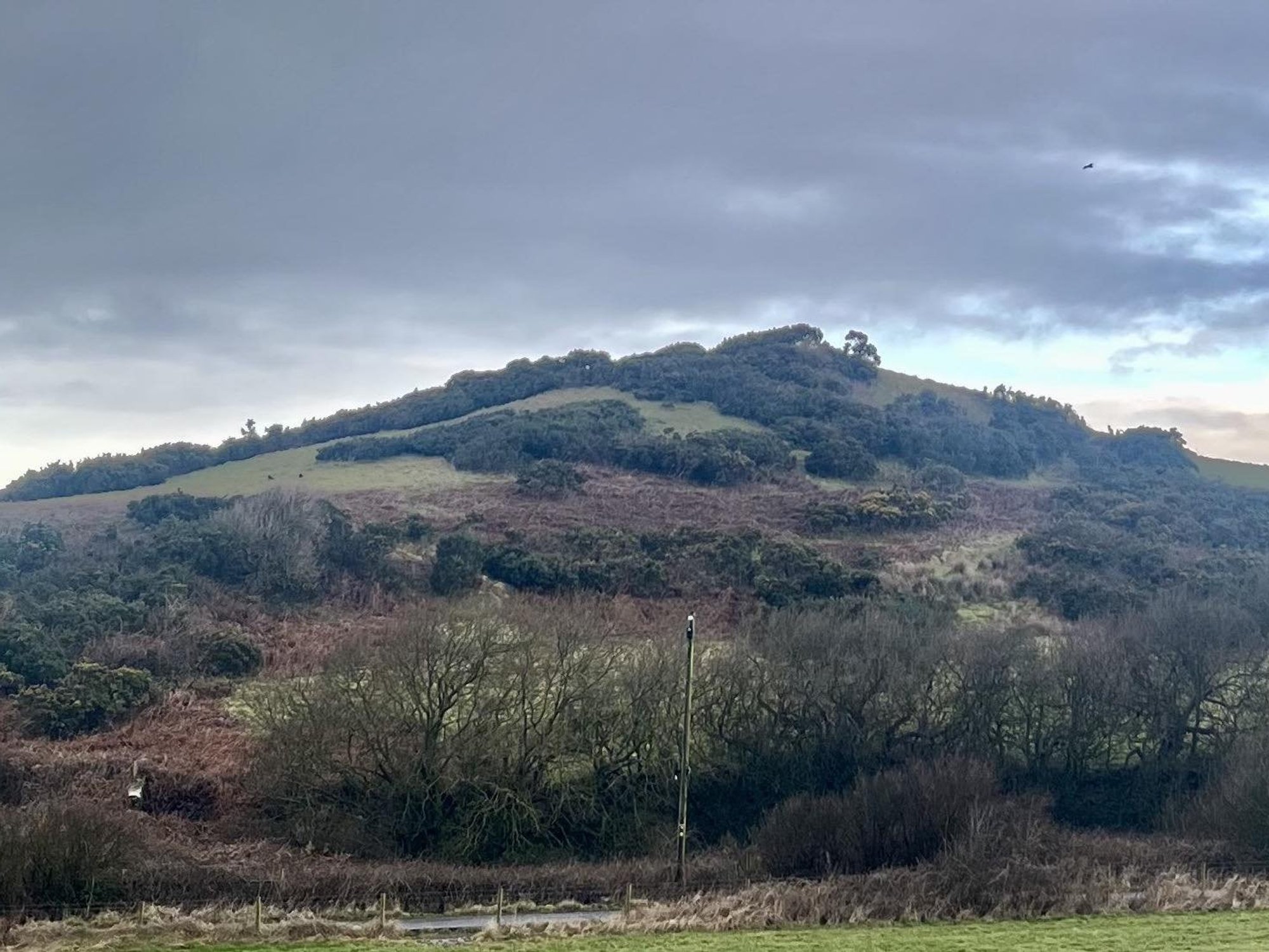 The hill could be the final resting place of the tyrannical warlord