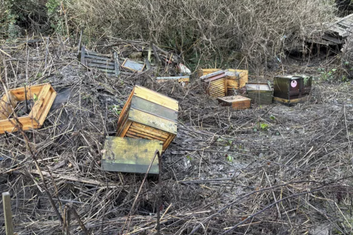The hives were destroyed in the widespread flooding