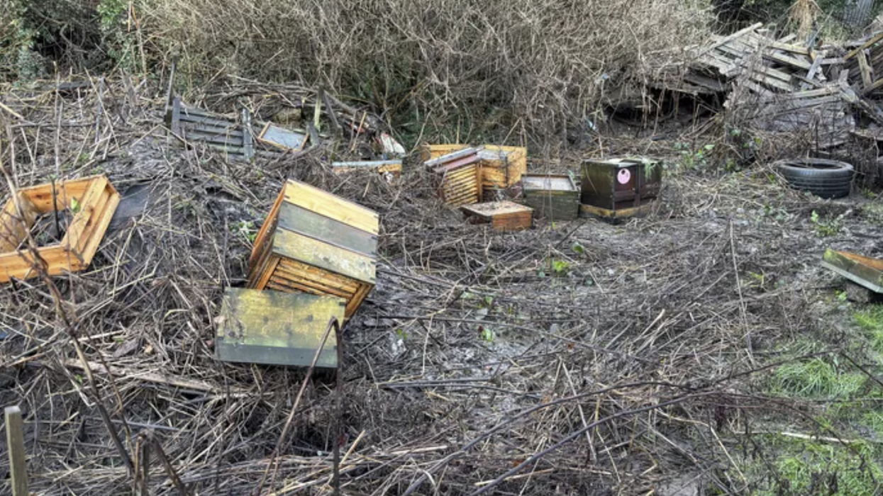 The hives were destroyed in the widespread flooding