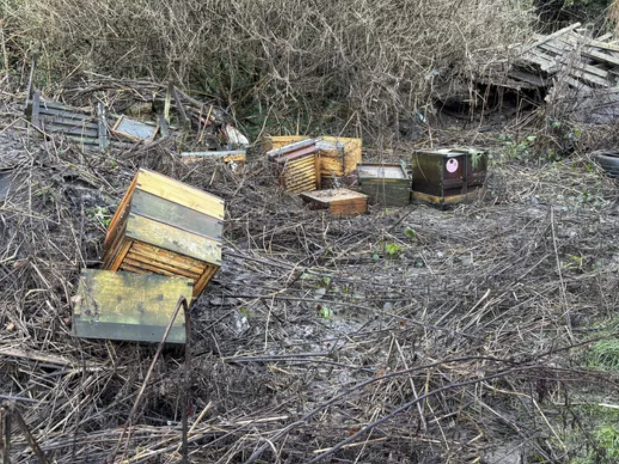The hives were destroyed in the widespread flooding