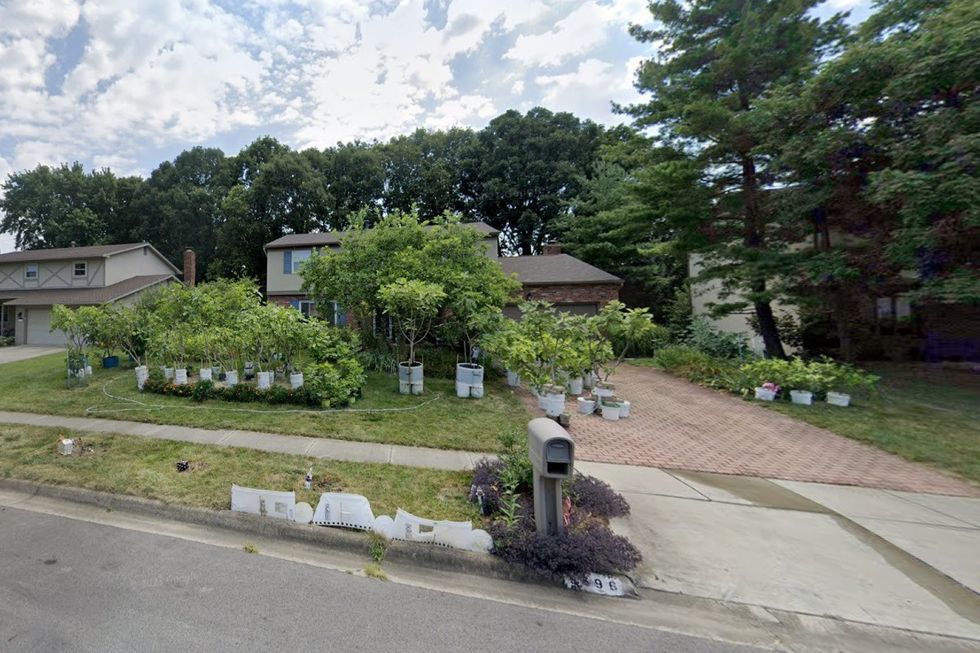 The homeowner claims to have 80 varieties of figs