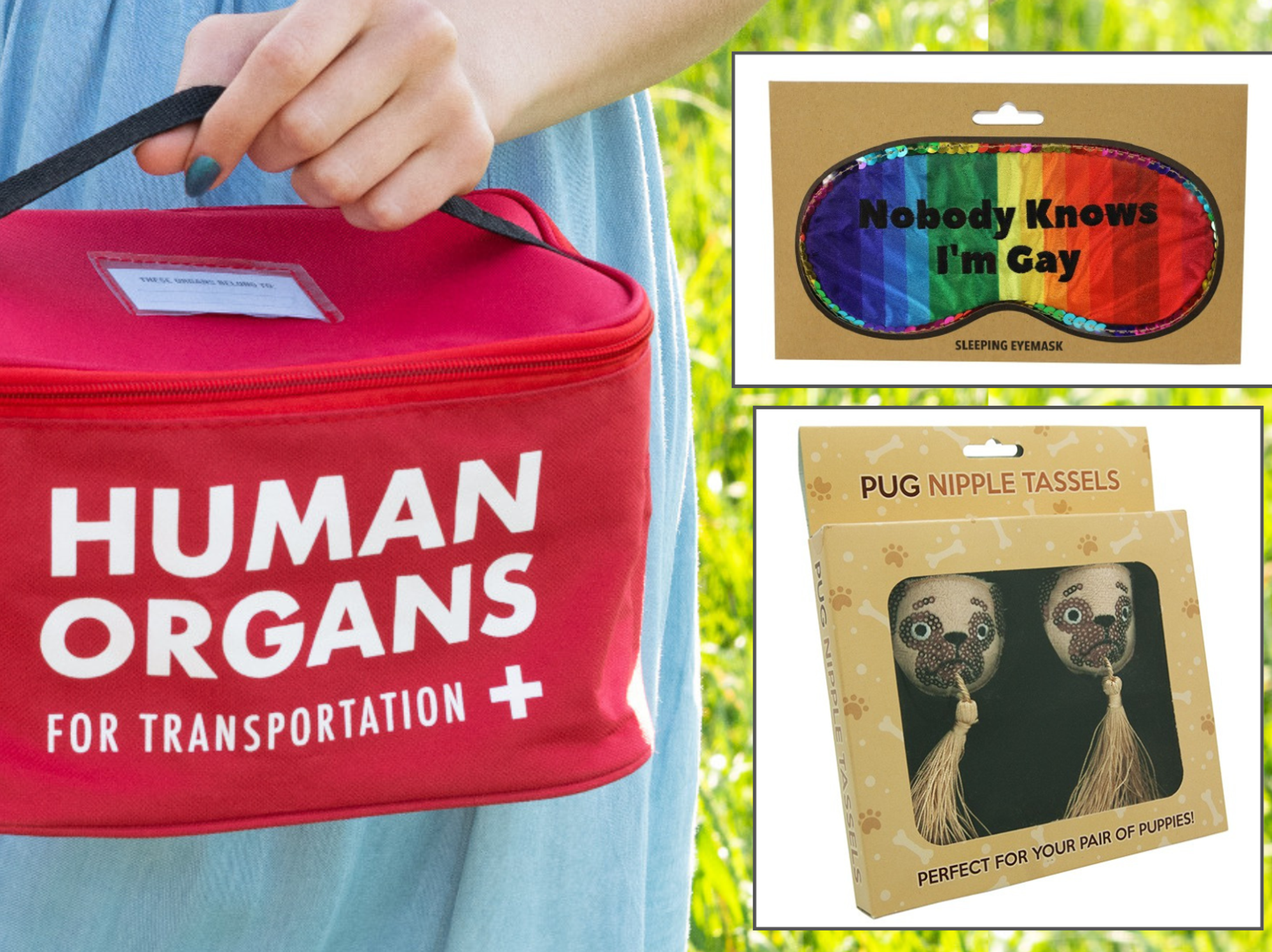 The Human Organs Lunch Bag and other Diabolical products