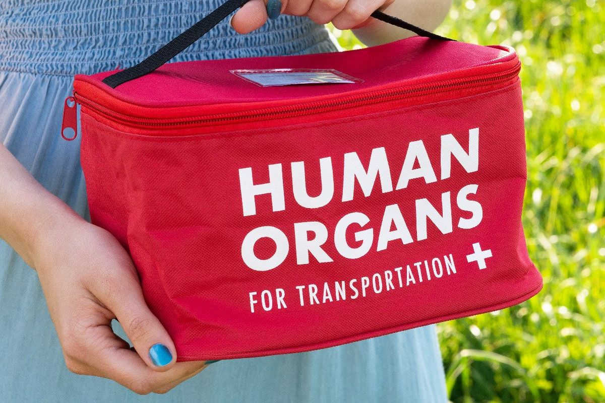 The Human Organs Lunch Bag