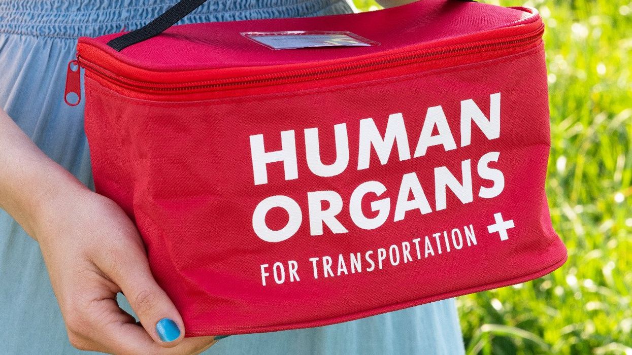The Human Organs Lunch Bag