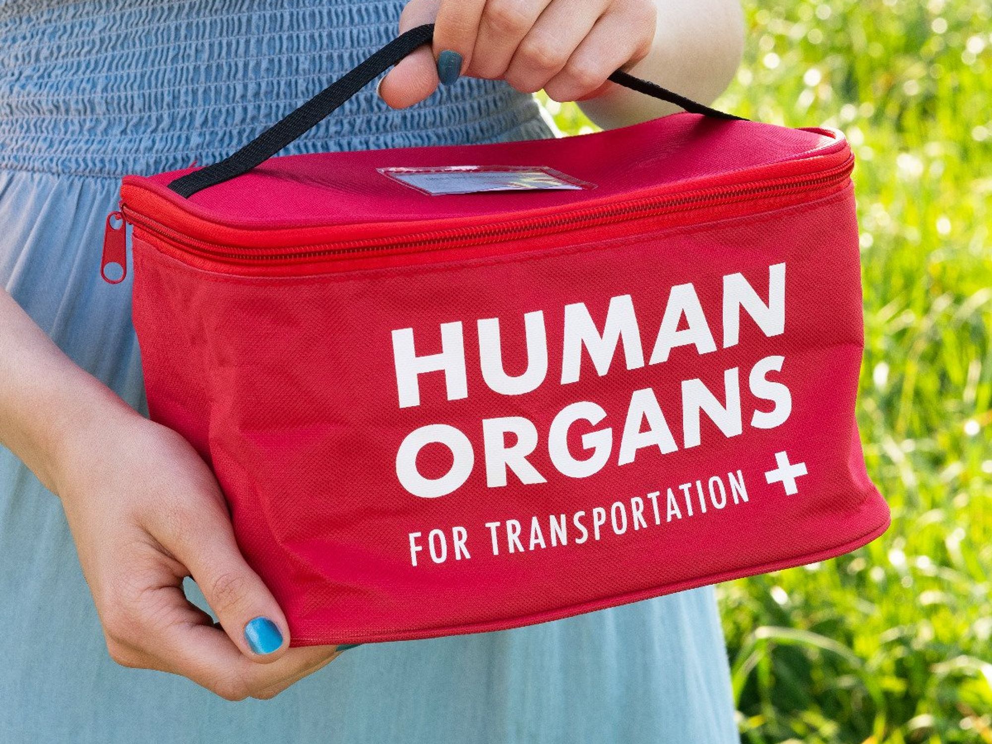 The Human Organs Lunch Bag