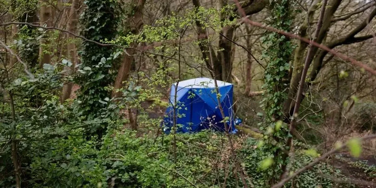 NextImg:Murder probe launched after human remains found at nature reserve