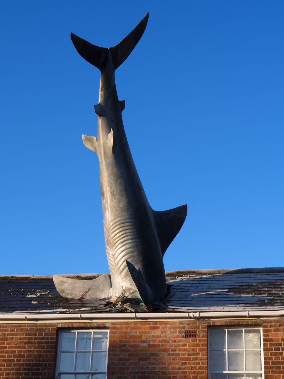 The iconic shark statue