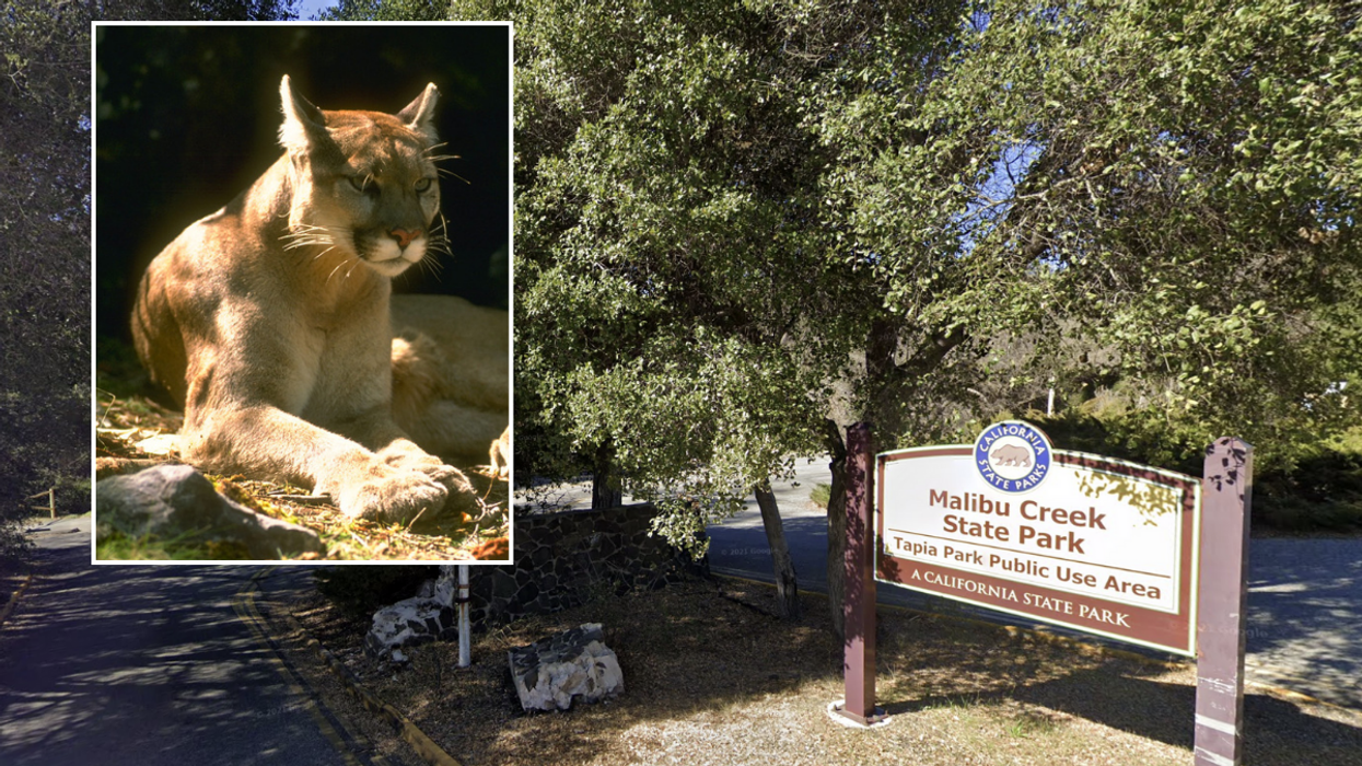 The incident took place at the Tapia Park area