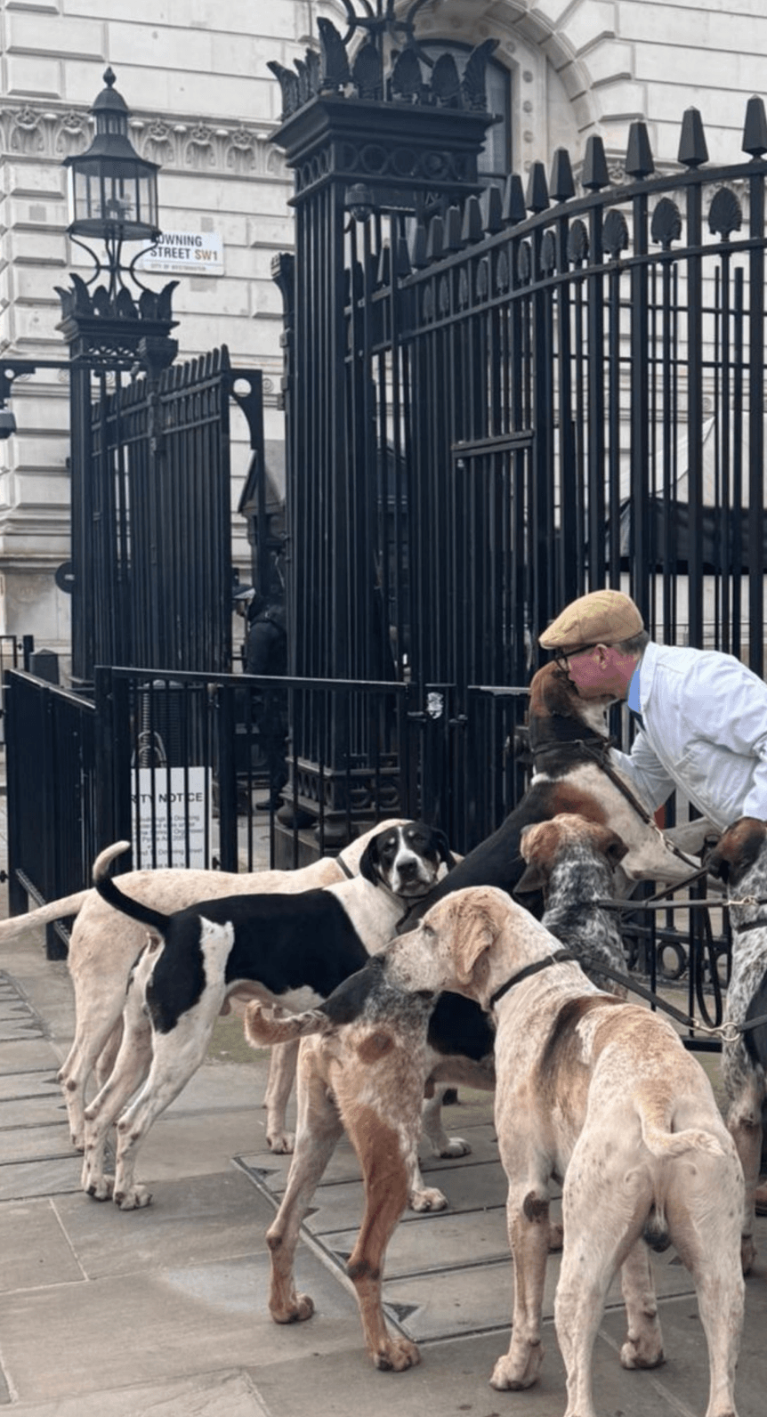 The initiative, which ends on February 22, is designed to showcase the vital role that hunts and hounds play in their communities