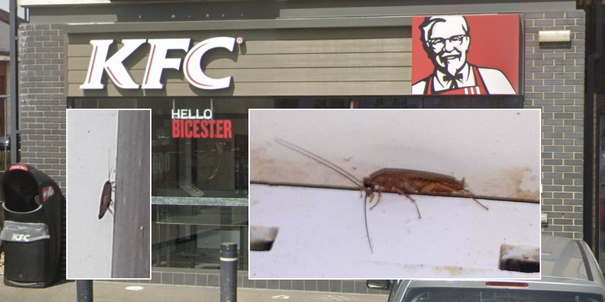 NextImg:Locals fume they will 'never eat again' at cockroach-infested KFC that had 'dead flies in fridge'