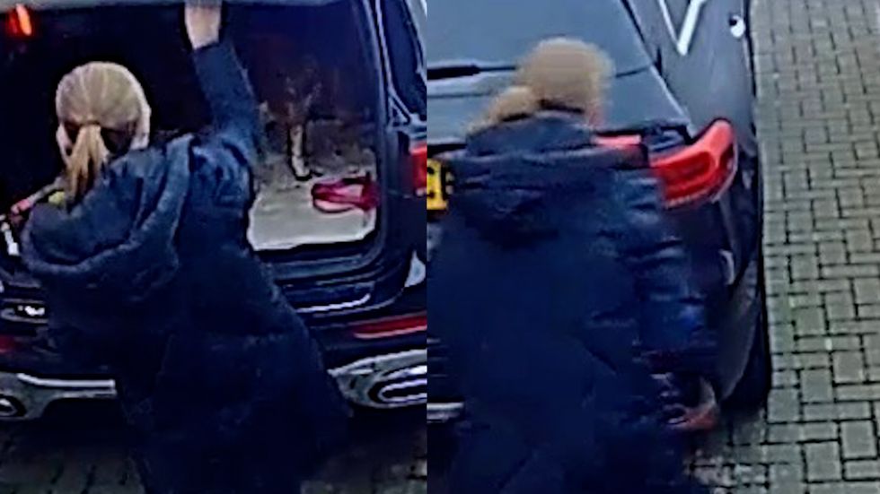 The last known sighting of her was at 9:10am when another dog walker spotted her.