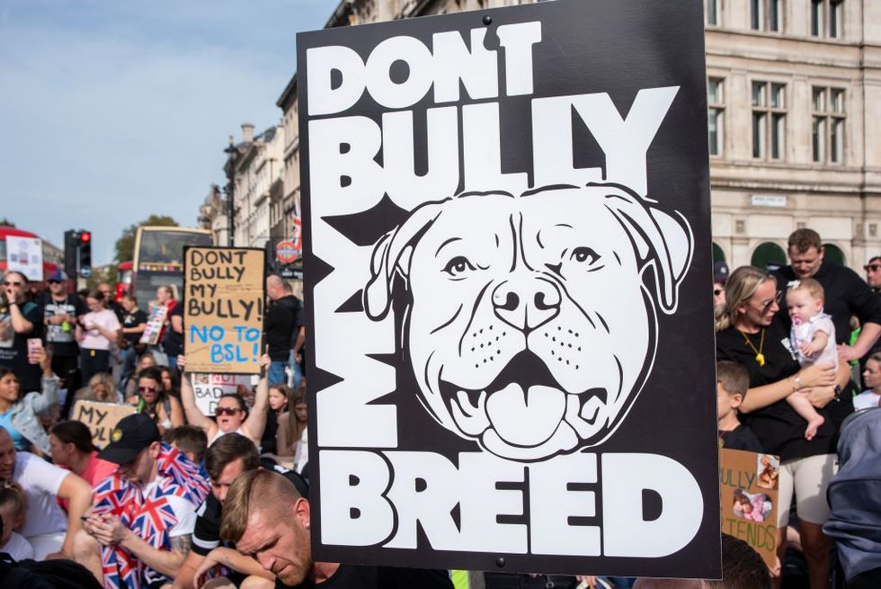 The legislation has proved controversial among dog owners\u200b