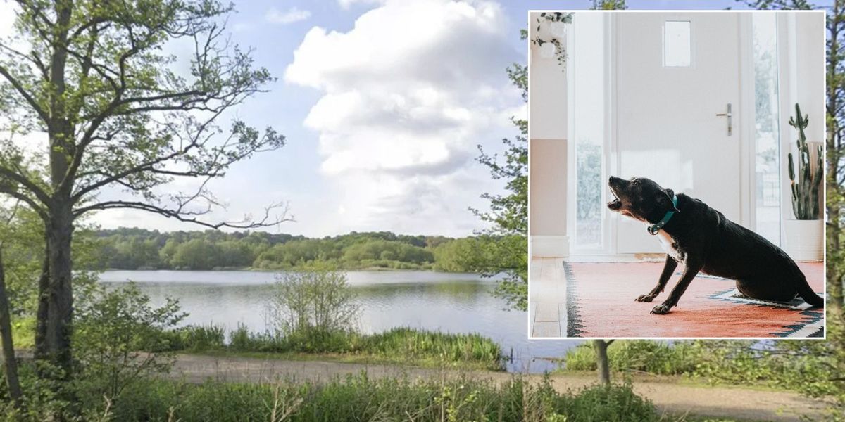 NextImg:Neighbour row explodes as man threatens to kill couple's dog over noise dispute