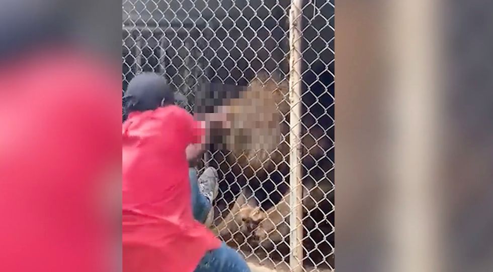 The man trying to free himself from the lion's jaws