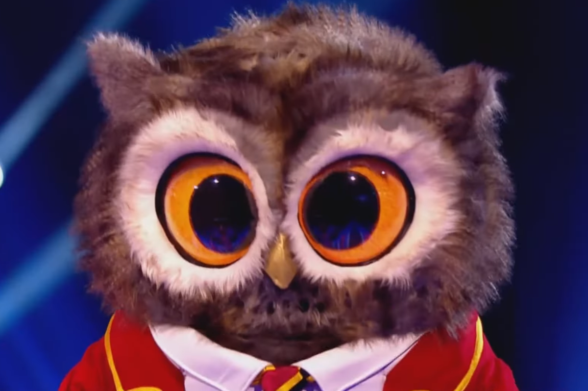 The Masked Singer's Owl