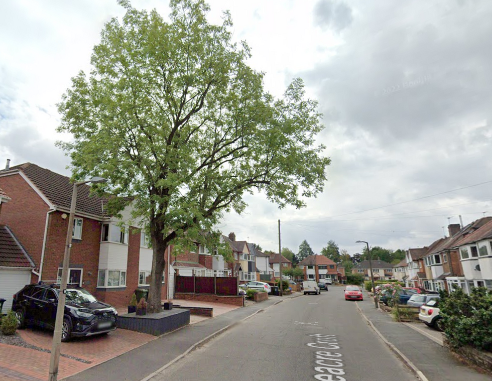 The massive tree in Shirley, Solihull was a 'nuisance'