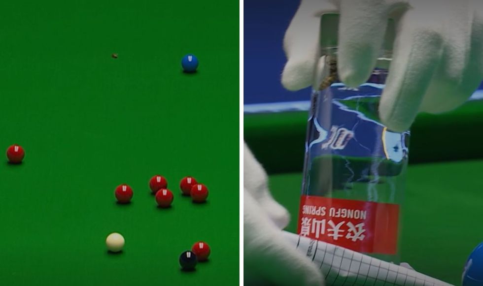 The Masters wasp was caught by the referee