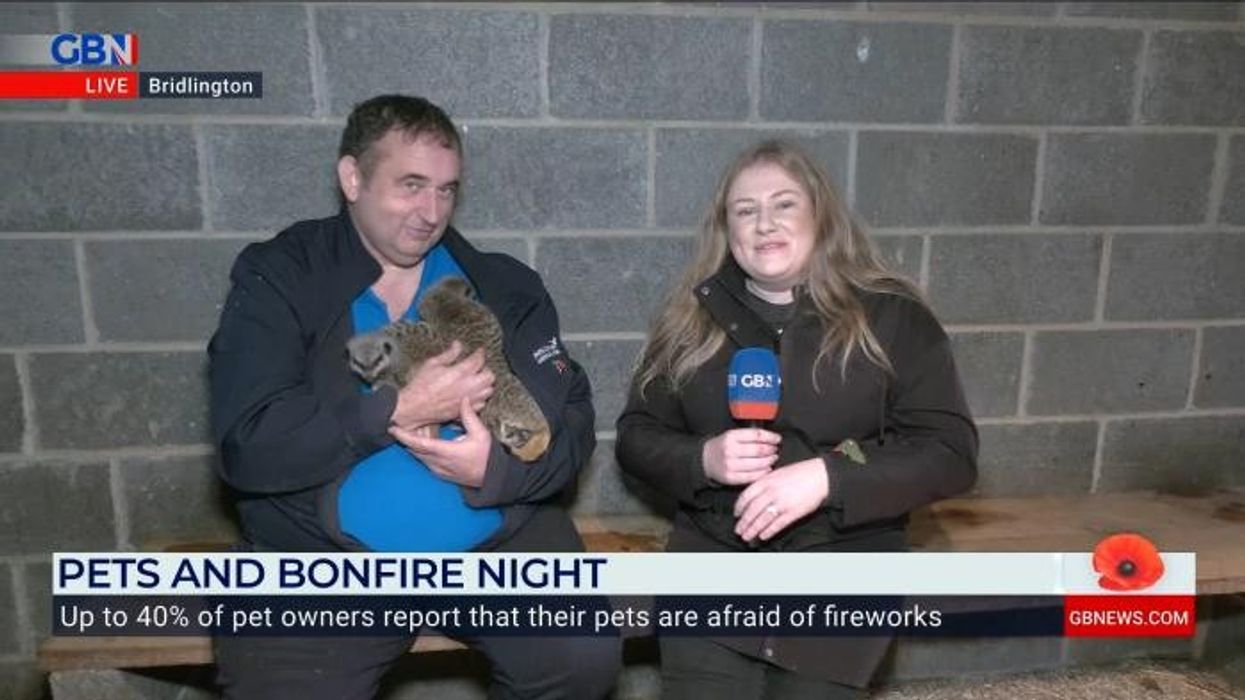 Baby red panda tragically dies at Edinburgh zoo after 'firework fright'