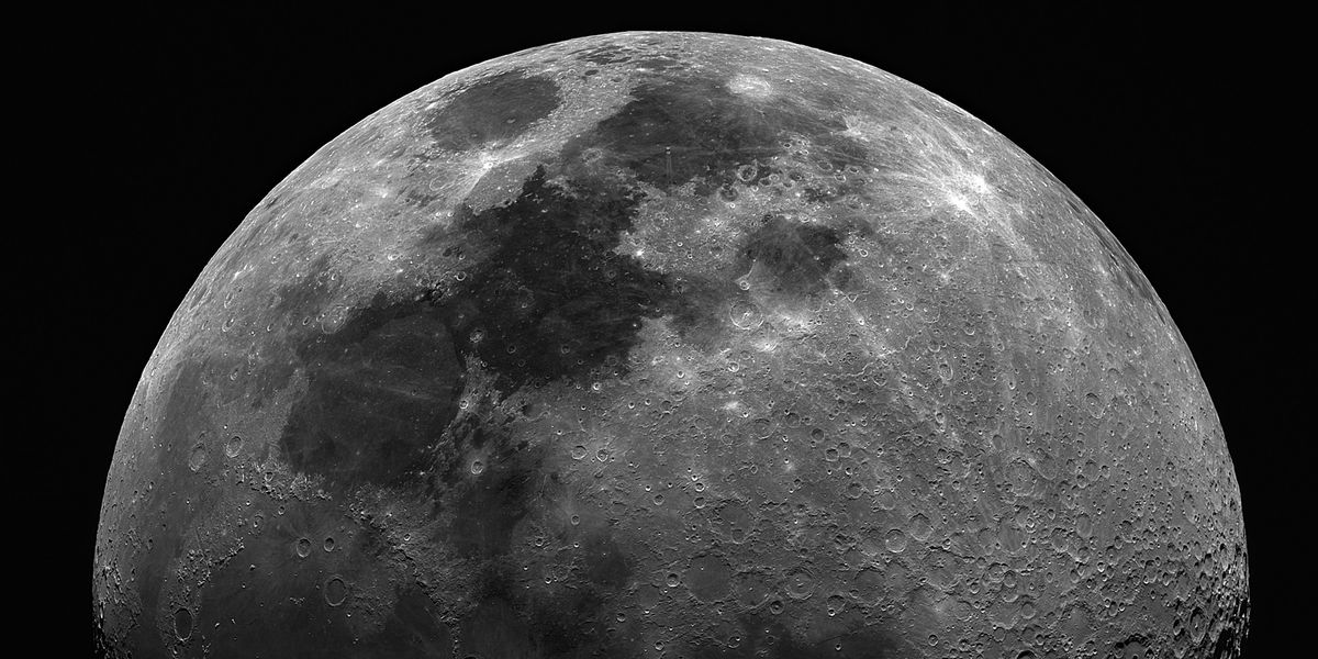 NextImg:Frozen samples of endangered animals 'could be stored on Moon' to protect them as scientists dream of 'lunar ark'