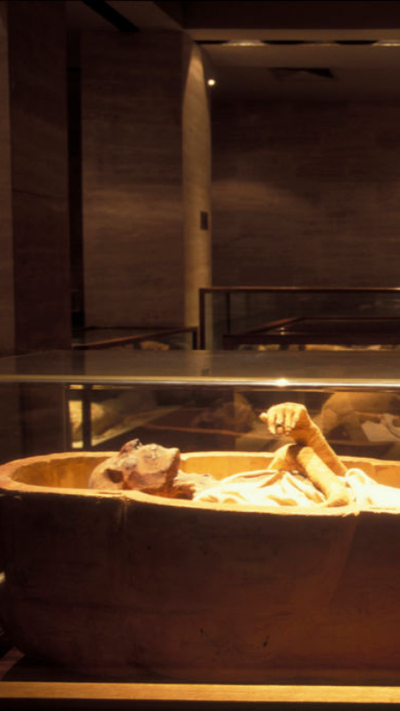 The mummy of Ramesses II