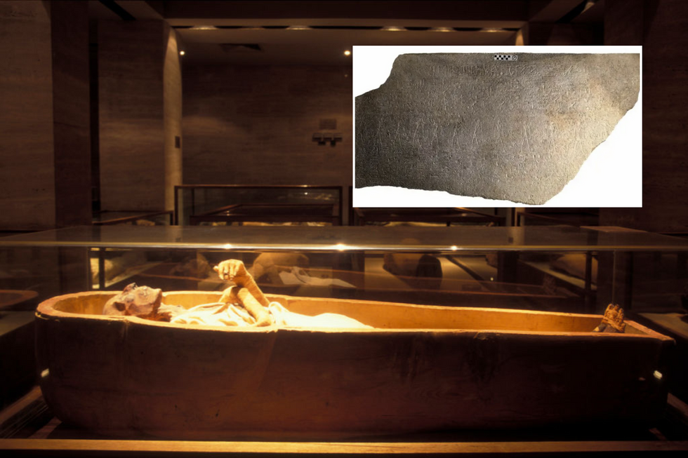 The mummy of Ramesses II