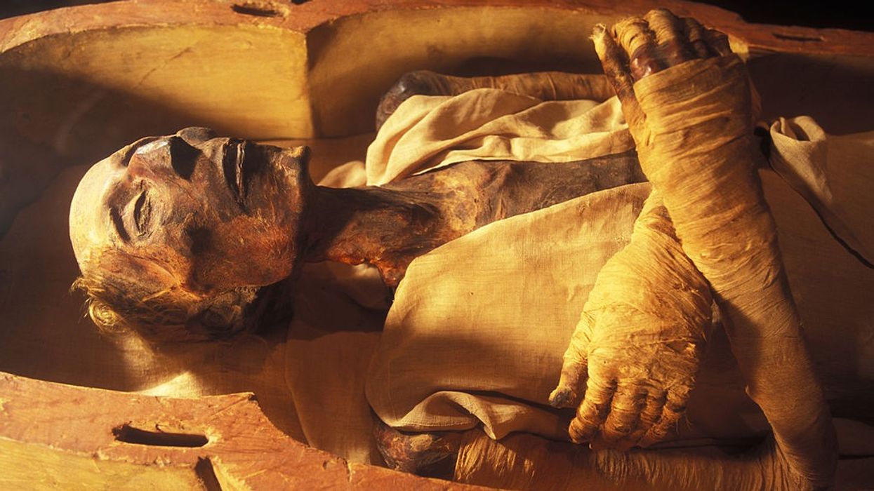 The mummy of Ramses II